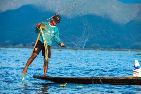 20191122__00171-112 Lac Inle, pêcheur intha au filet.: en équilibre sur un pied, manoeuvrant la rame de l'autre, le pêcheur a les mains libres pour jeter son filet, puis frapper...